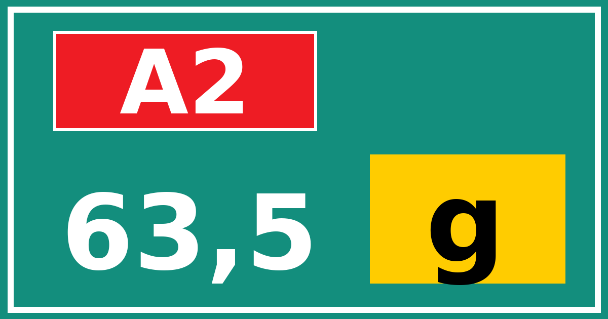 Hectometerbord A2 63,5 letter g