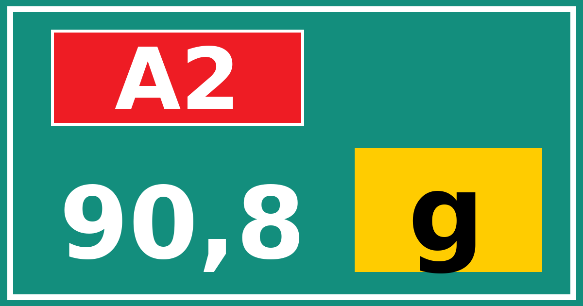 Hectometerbord A2 90,8 letter g