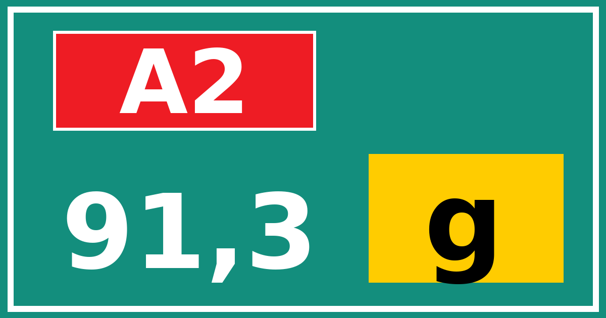 Hectometerbord A2 91,3 letter g