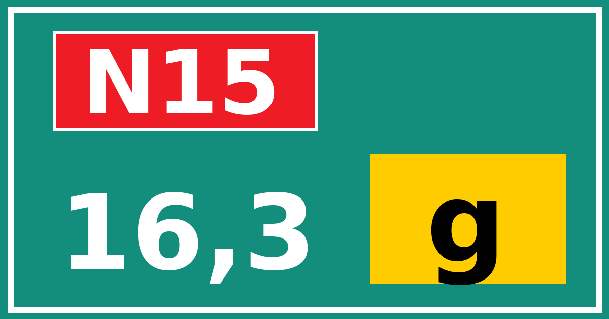 Hectometerbord N15 16,3 letter g