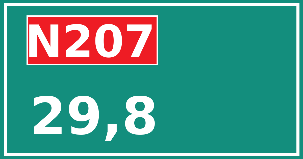 Hectometerbord N207 29,8