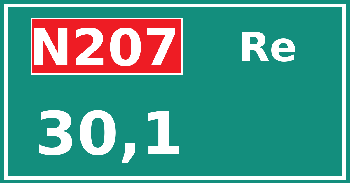 Hectometerbord N207 30,1 zijde Re
