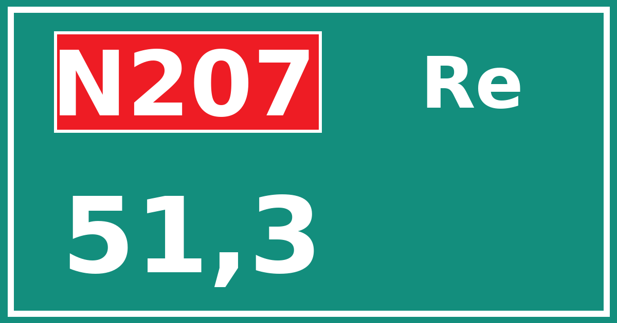 Hectometerbord N207 51,3 zijde Re