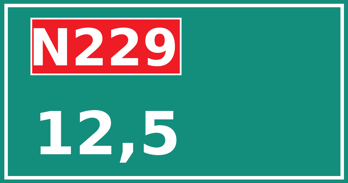 Hectometerbord N229 12,5