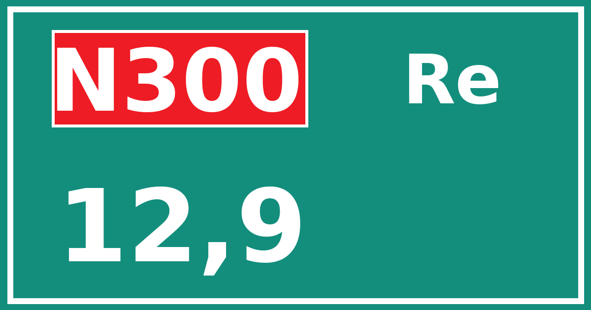 Hectometerbord N300 12,9 zijde Re