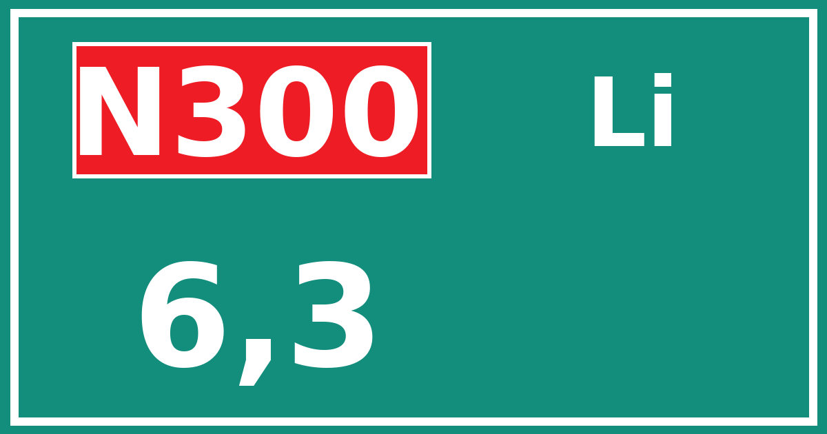 Hectometerbord N300 6,3 zijde Li
