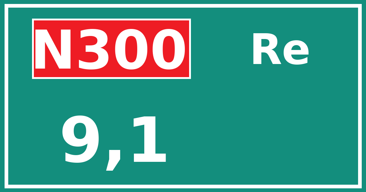 Hectometerbord N300 9,1 zijde Re