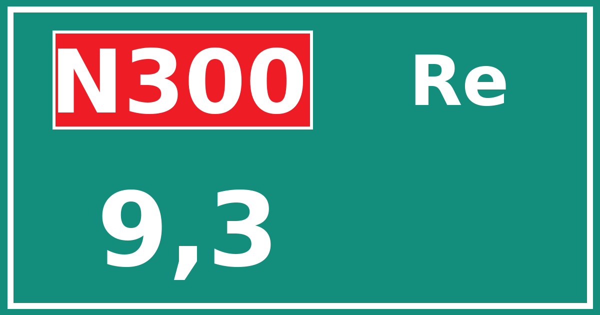 Hectometerbord N300 9,3 zijde Re
