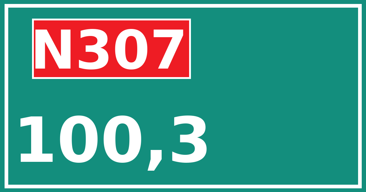 Hectometerbord N307 100,3