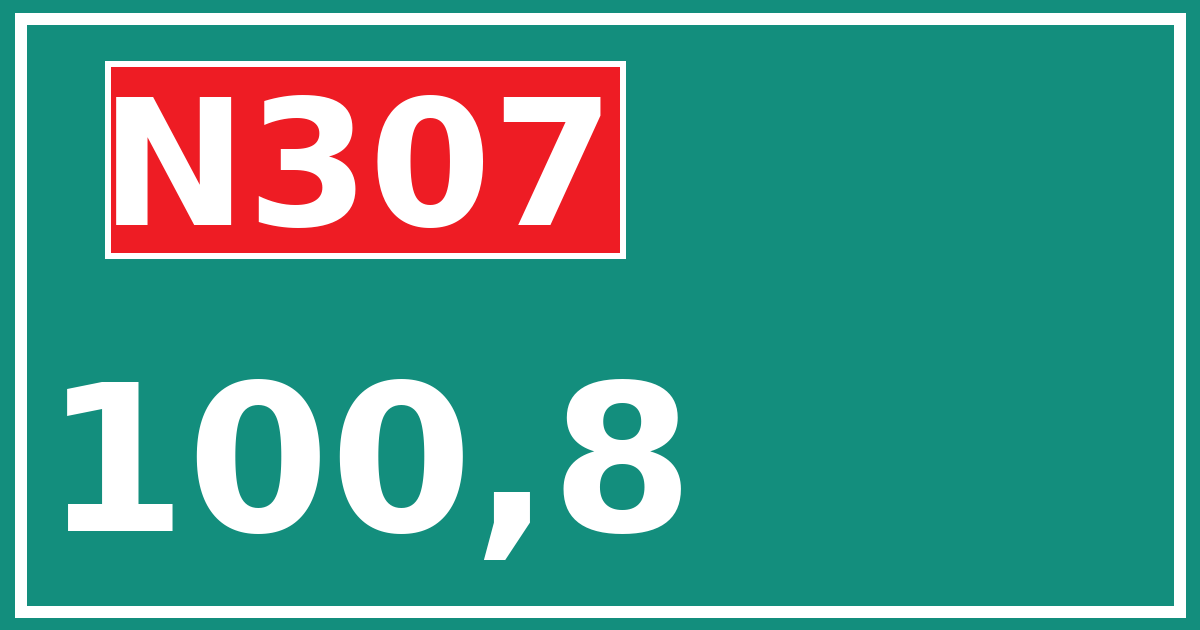 Hectometerbord N307 100,8