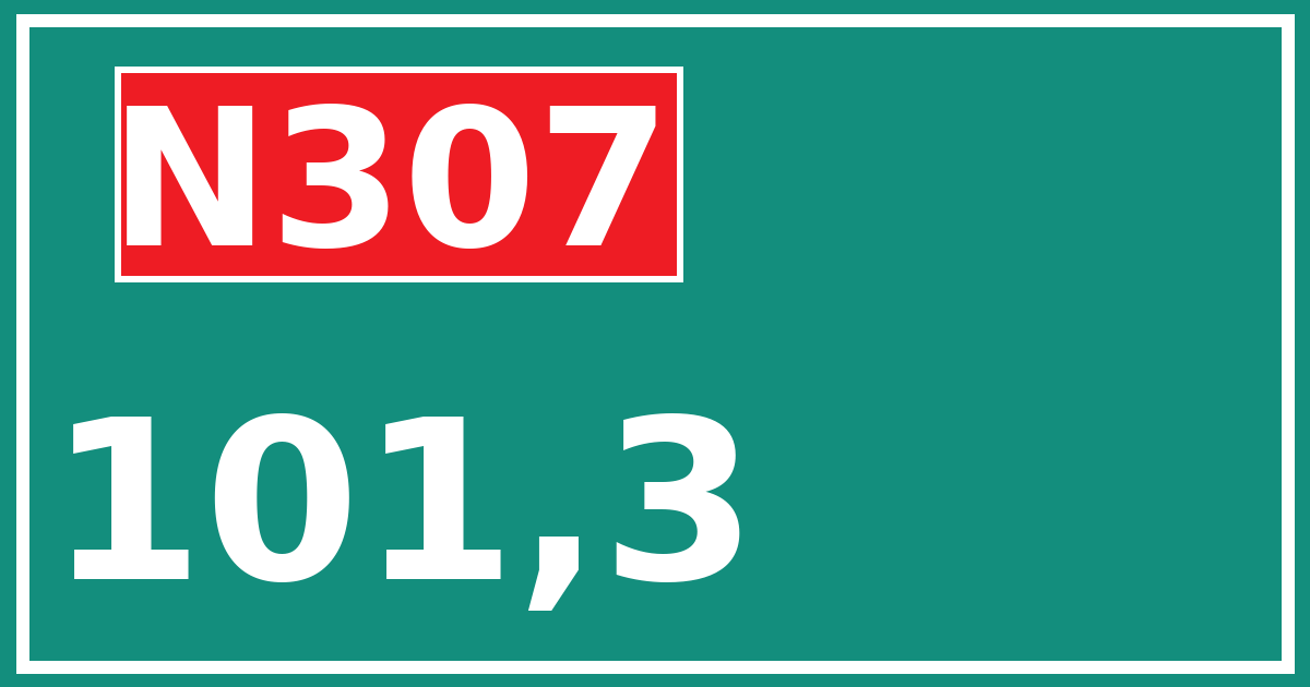 Hectometerbord N307 101,3