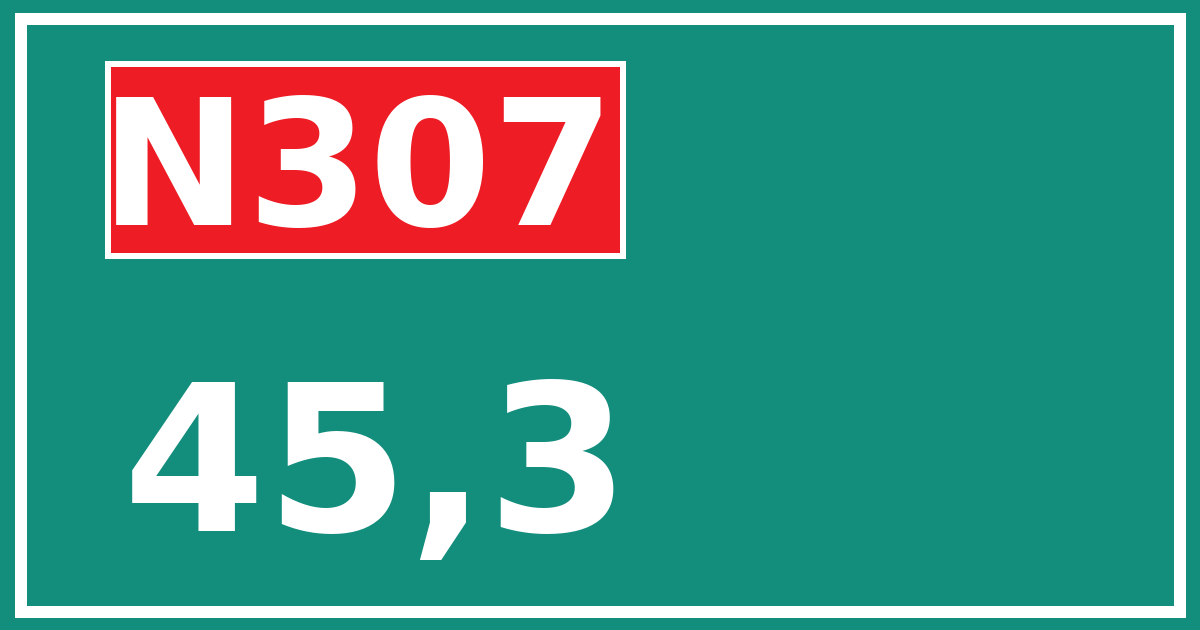 Hectometerbord N307 45,3