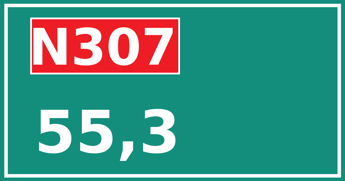 Hectometerbord N307 55,3