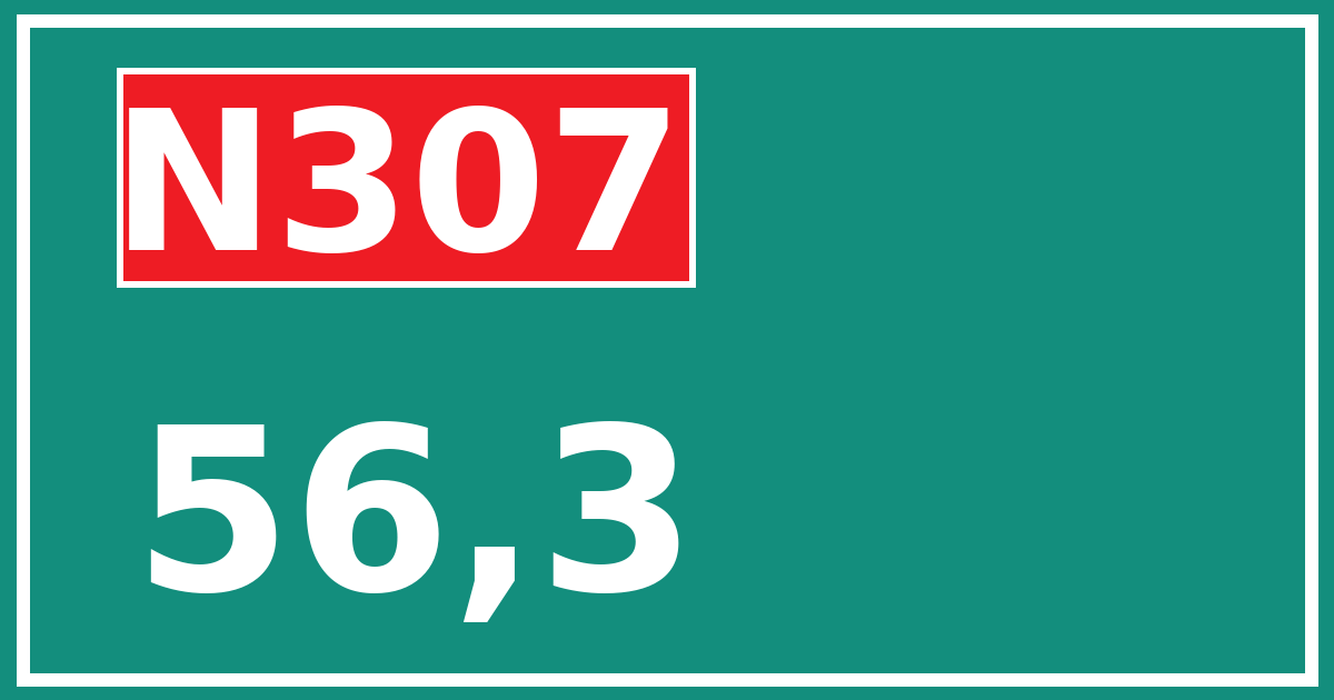 Hectometerbord N307 56,3