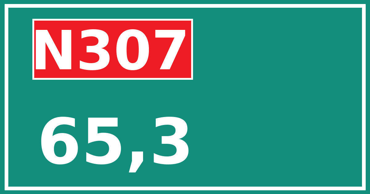 Hectometerbord N307 65,3