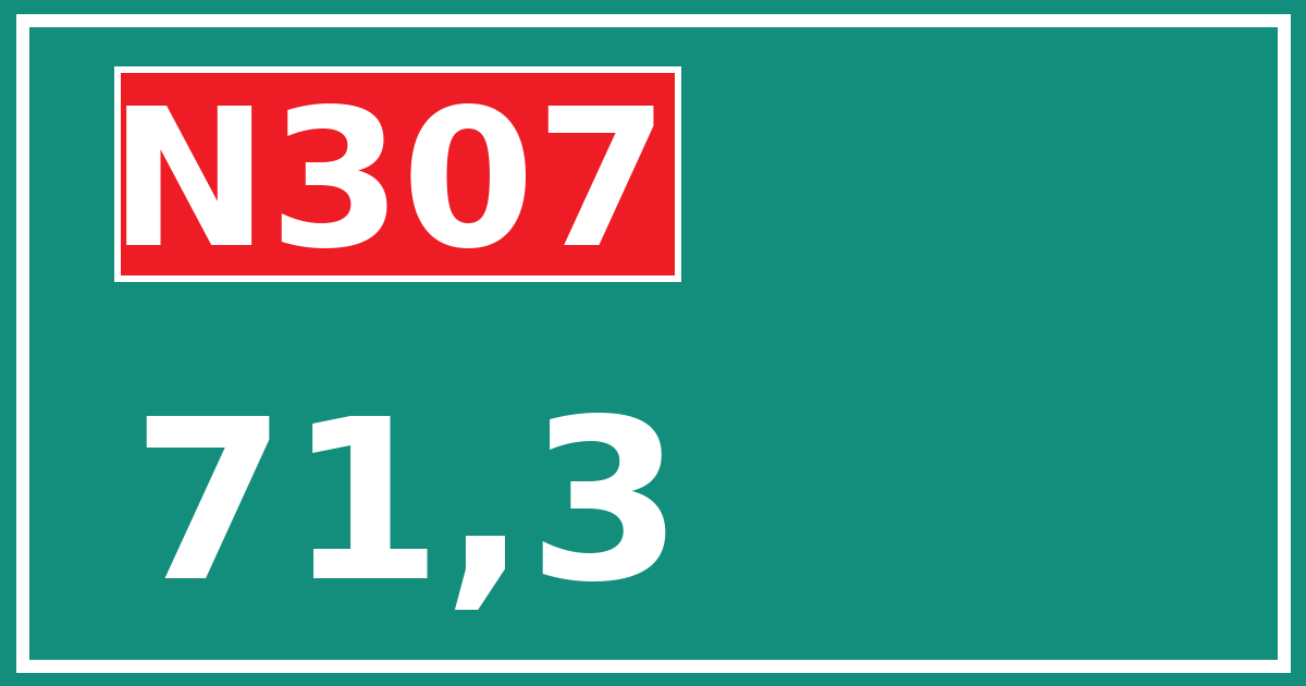 Hectometerbord N307 71,3