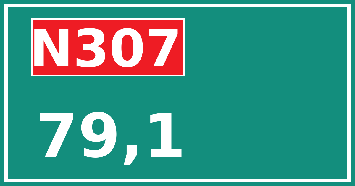 Hectometerbord N307 79,1