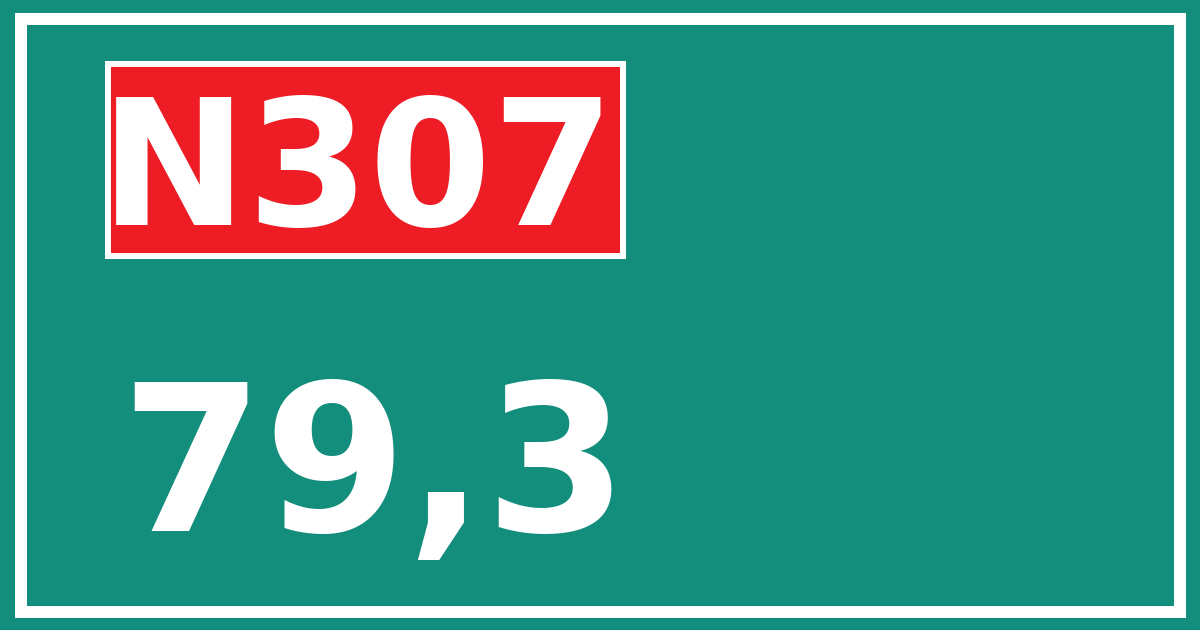 Hectometerbord N307 79,3
