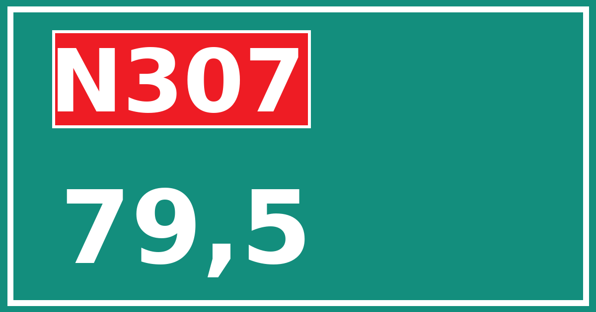 Hectometerbord N307 79,5