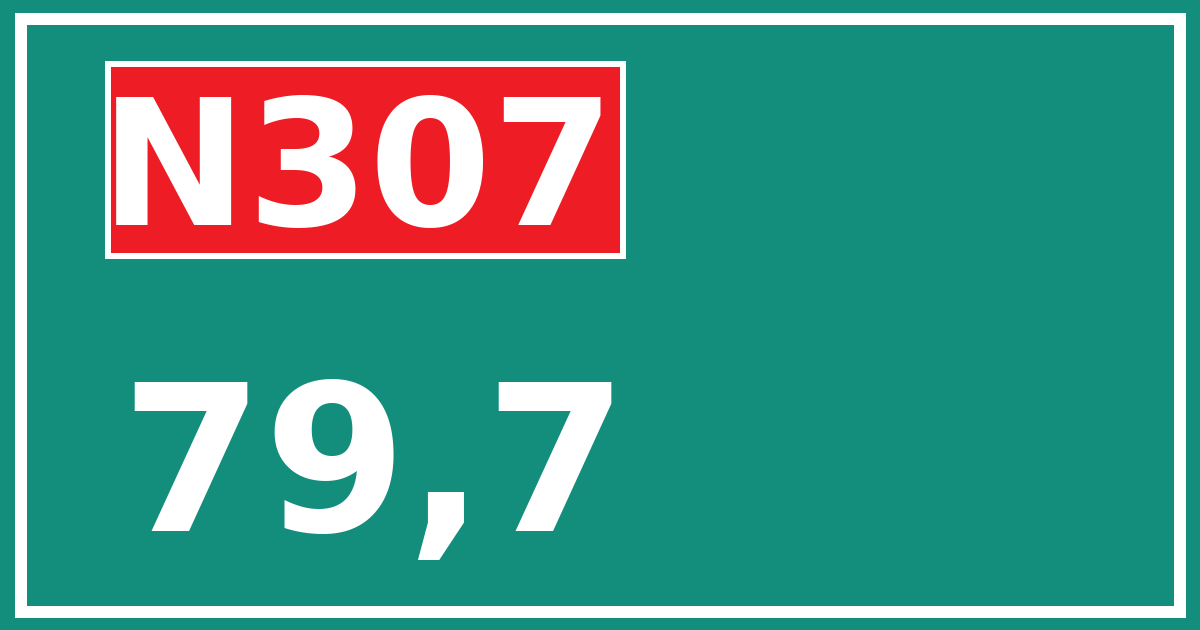 Hectometerbord N307 79,7