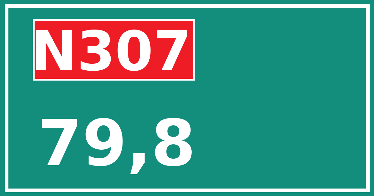 Hectometerbord N307 79,8