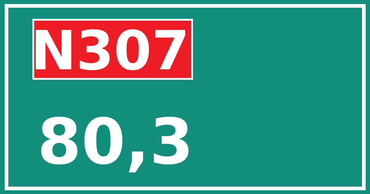 Hectometerbord N307 80,3