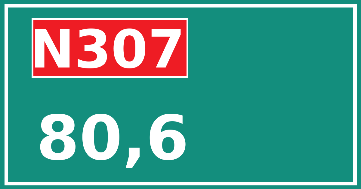 Hectometerbord N307 80,6