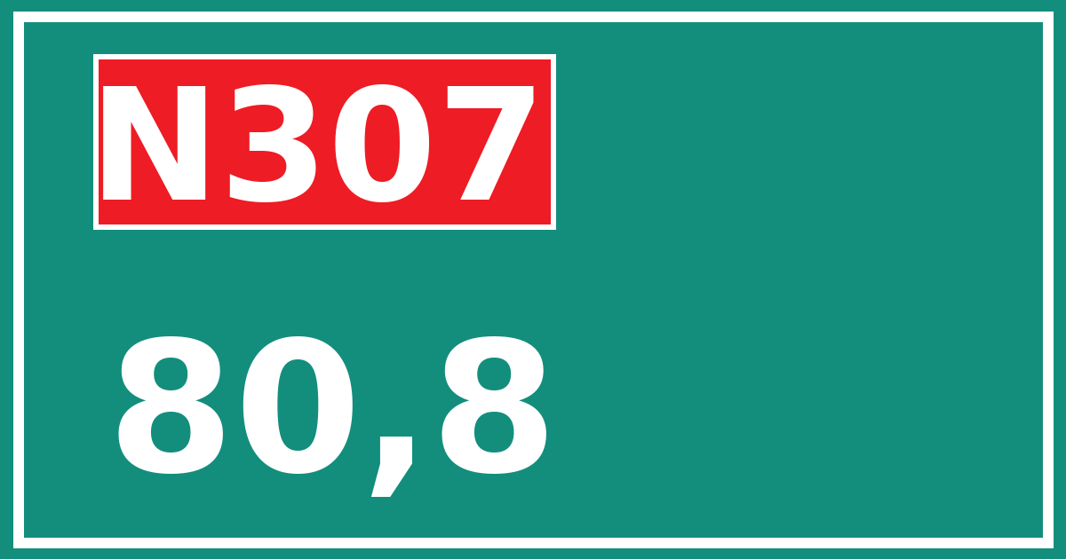 Hectometerbord N307 80,8