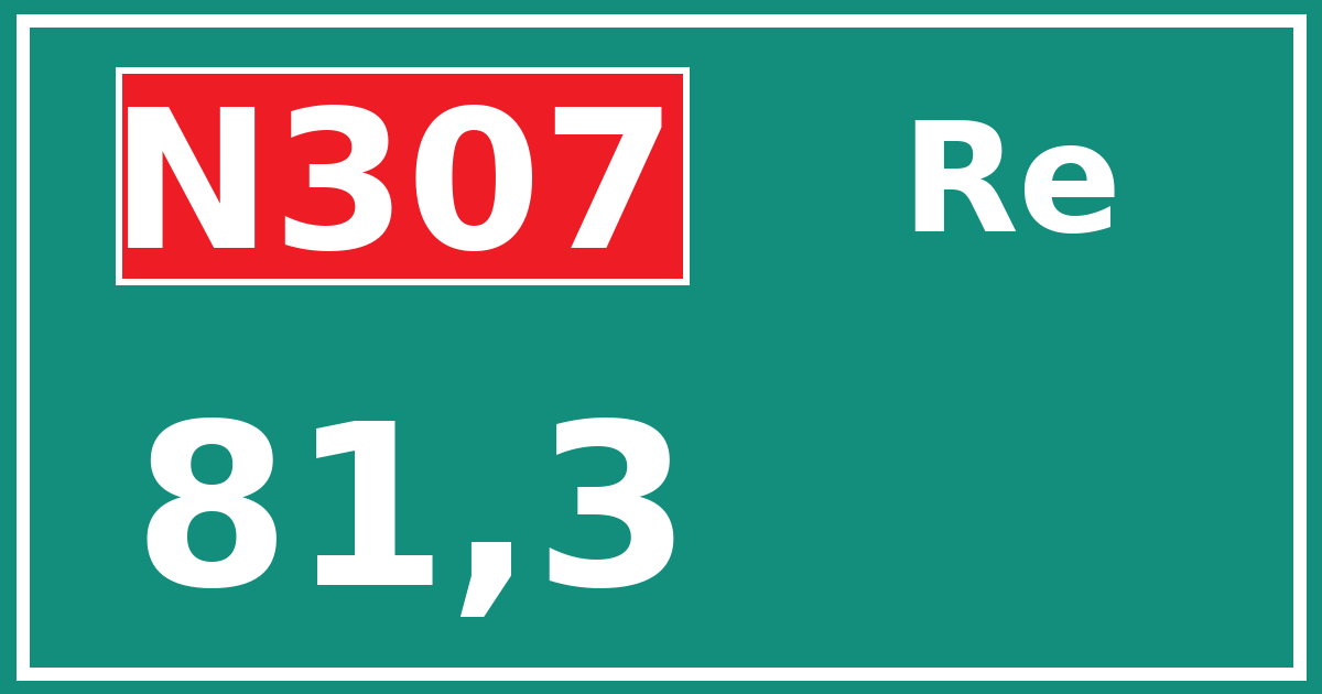 Hectometerbord N307 81,3 zijde Re