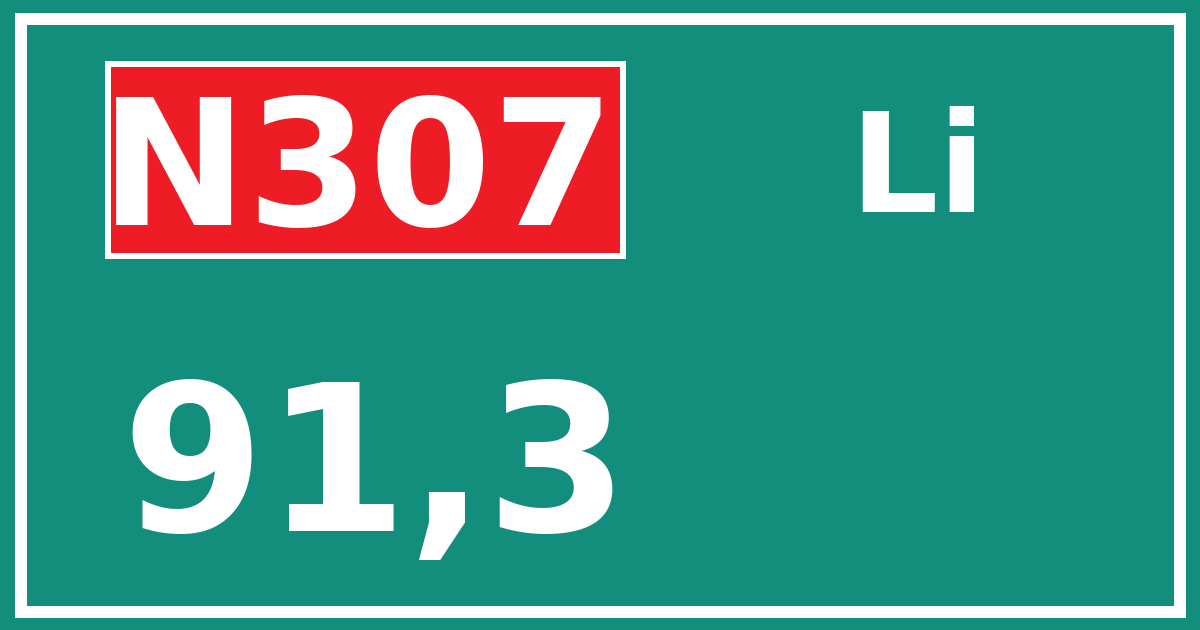 Hectometerbord N307 91,3 zijde Li