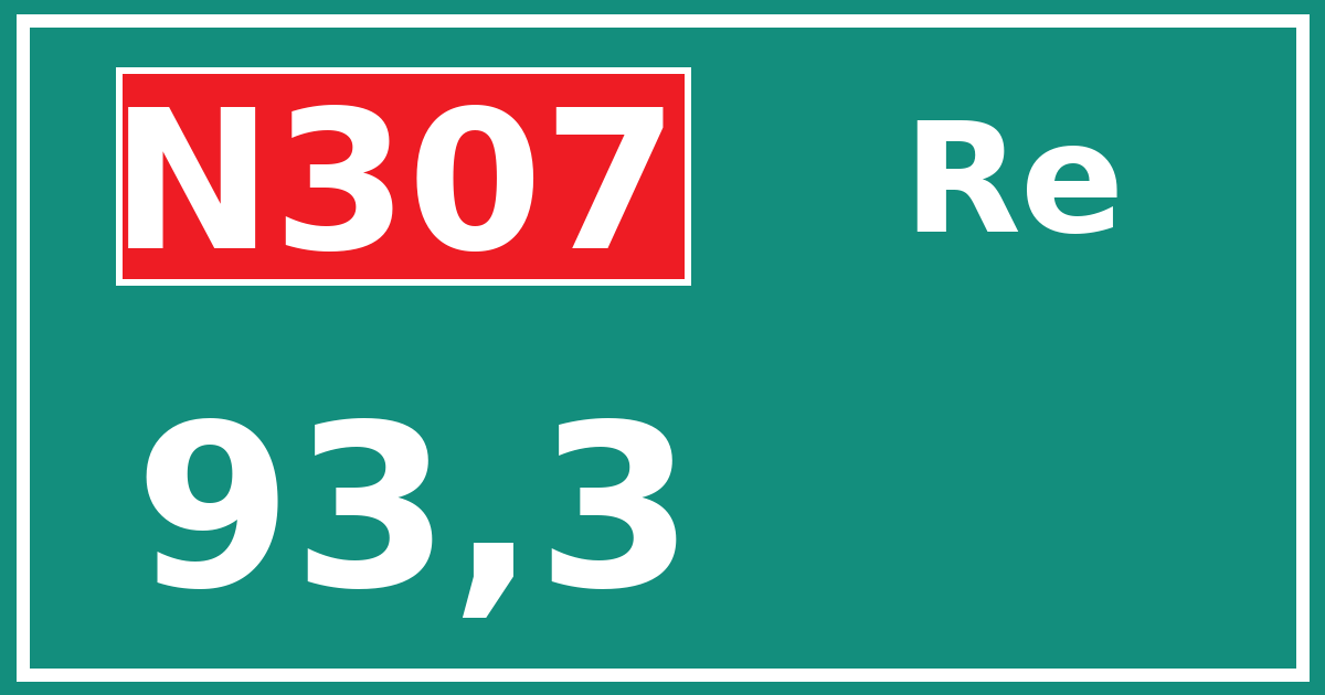 Hectometerbord N307 93,3 zijde Re