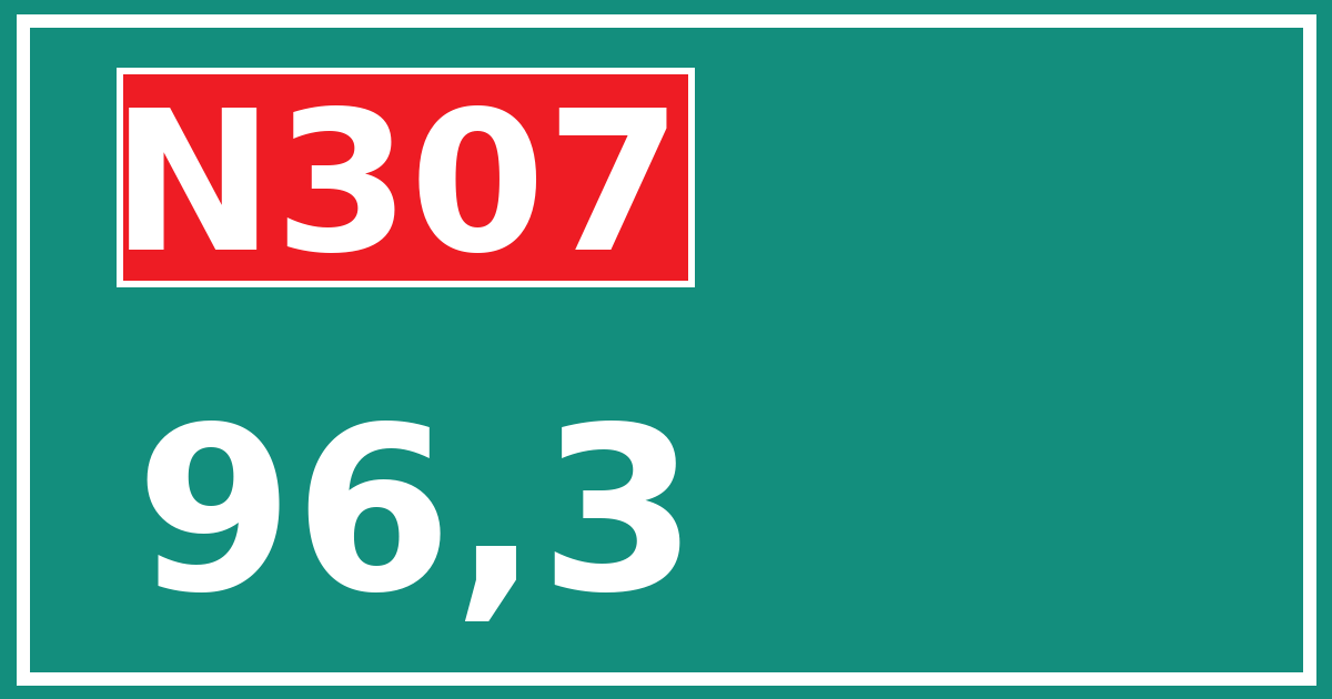 Hectometerbord N307 96,3