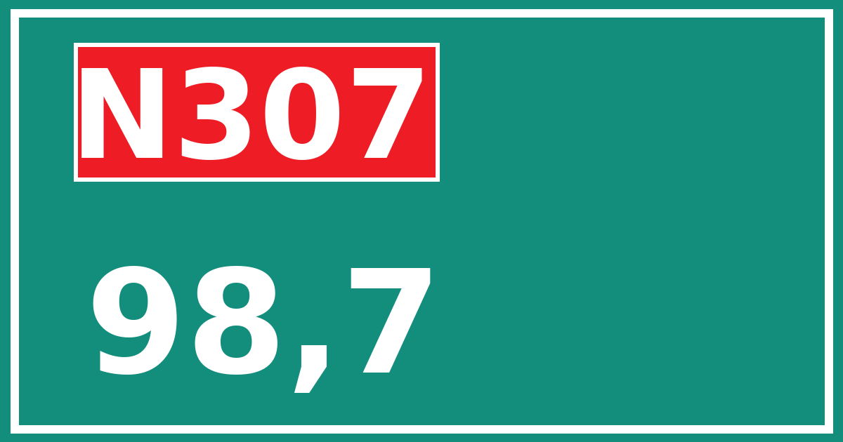 Hectometerbord N307 98,7