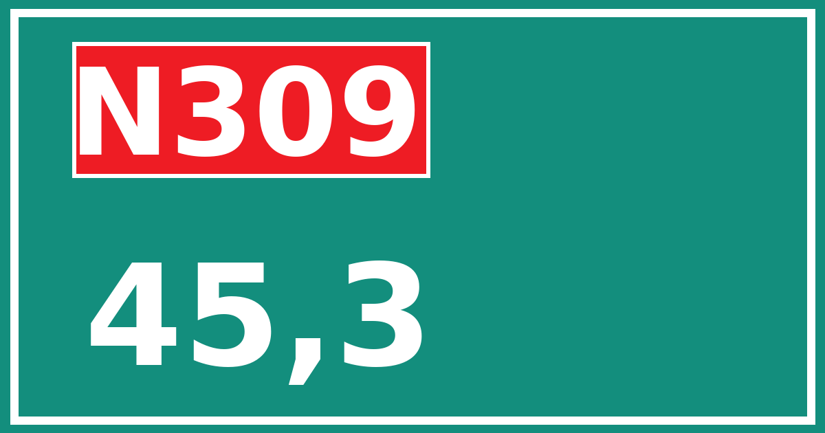 Hectometerbord N309 45,3