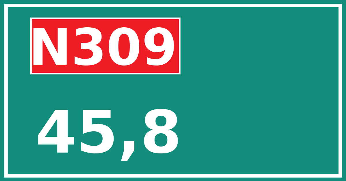 Hectometerbord N309 45,8