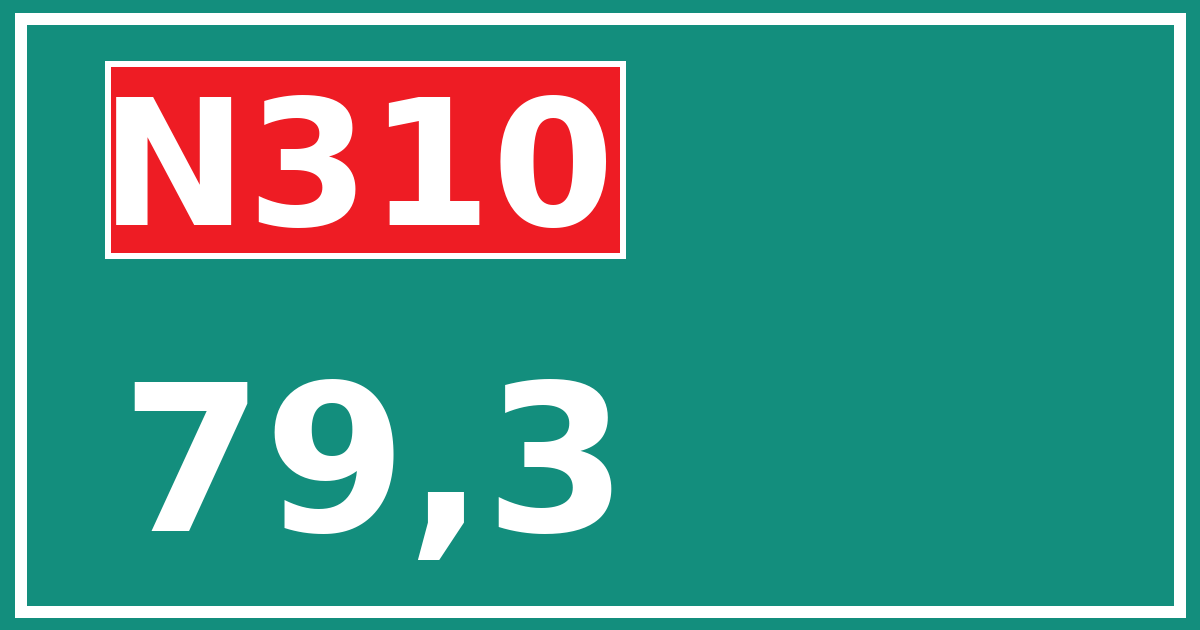 Hectometerbord N310 79,3
