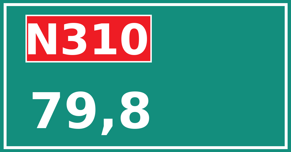 Hectometerbord N310 79,8