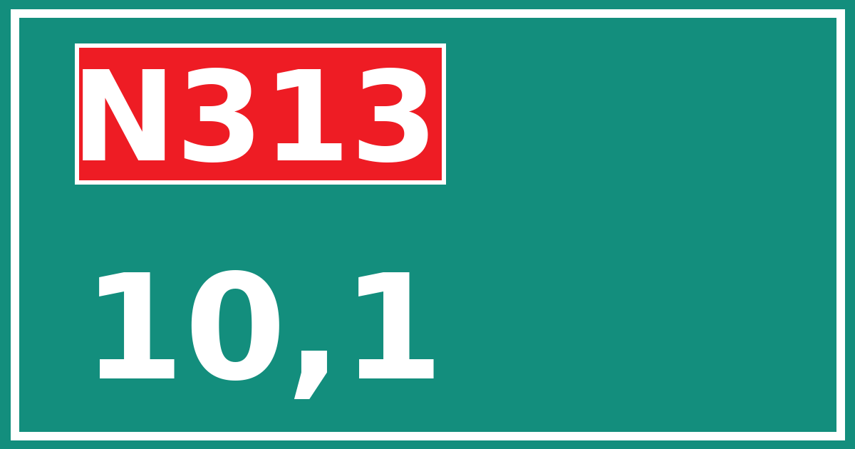 Hectometerbord N313 10,1