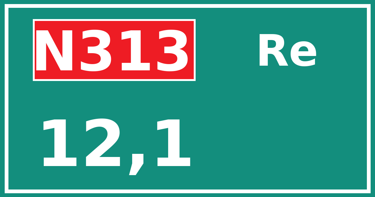 Hectometerbord N313 12,1 zijde Re