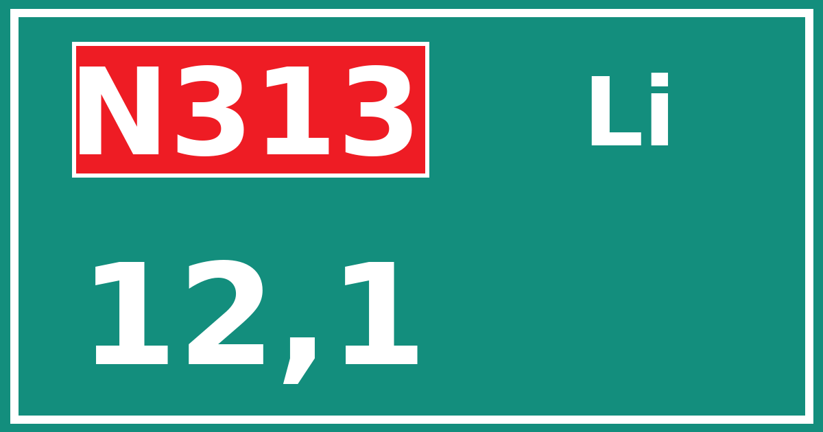 Hectometerbord N313 12,1 zijde Li