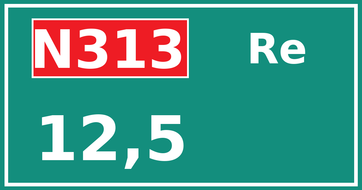Hectometerbord N313 12,5 zijde Re