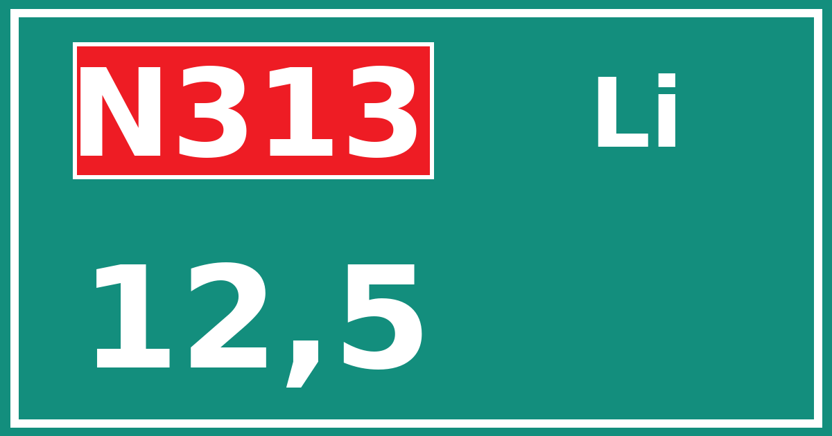 Hectometerbord N313 12,5 zijde Li