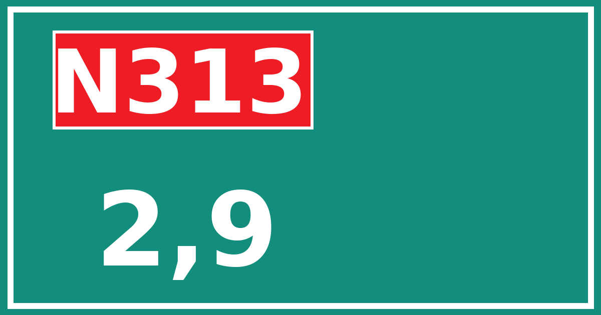 Hectometerbord N313 2,9