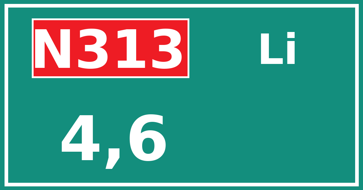 Hectometerbord N313 4,6 zijde Li