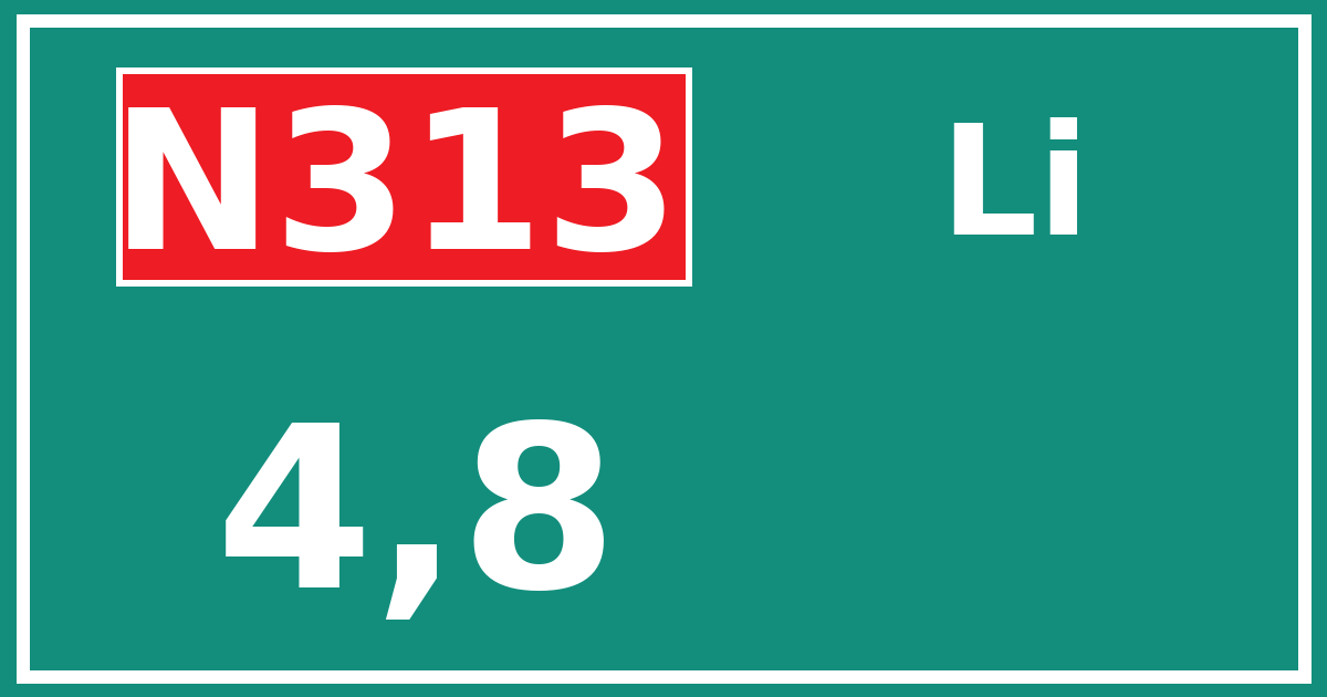 Hectometerbord N313 4,8 zijde Li