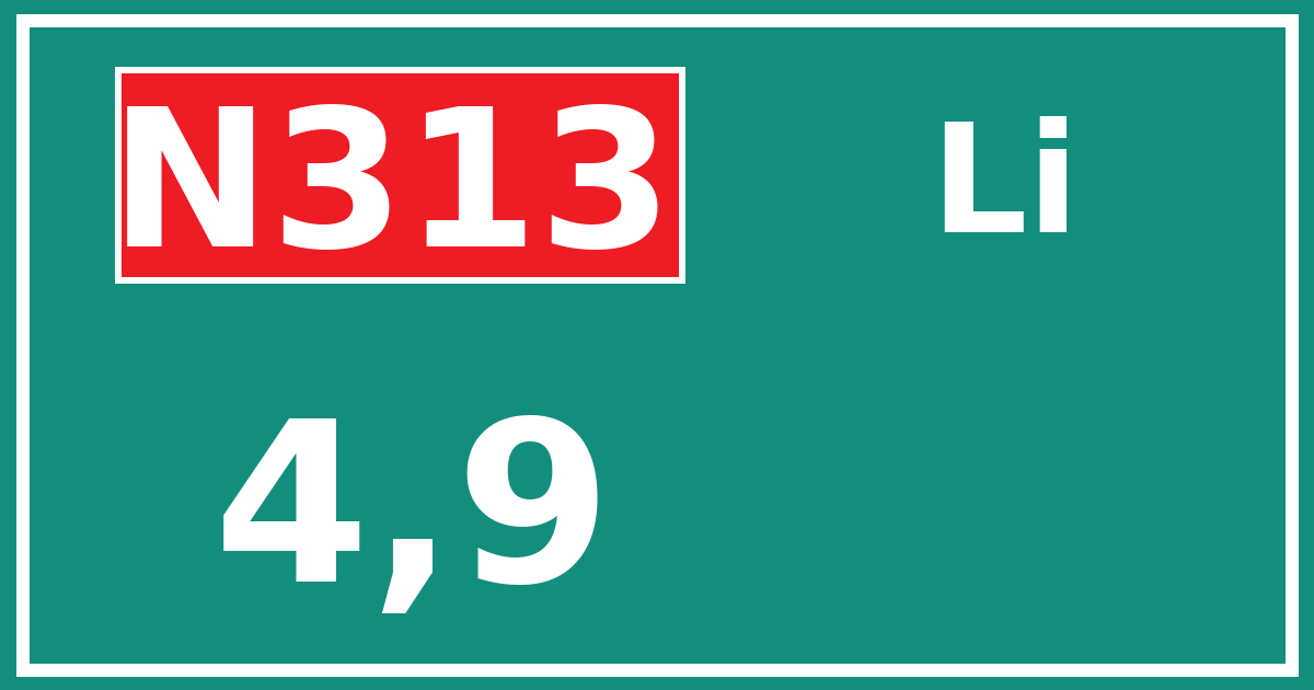 Hectometerbord N313 4,9 zijde Li