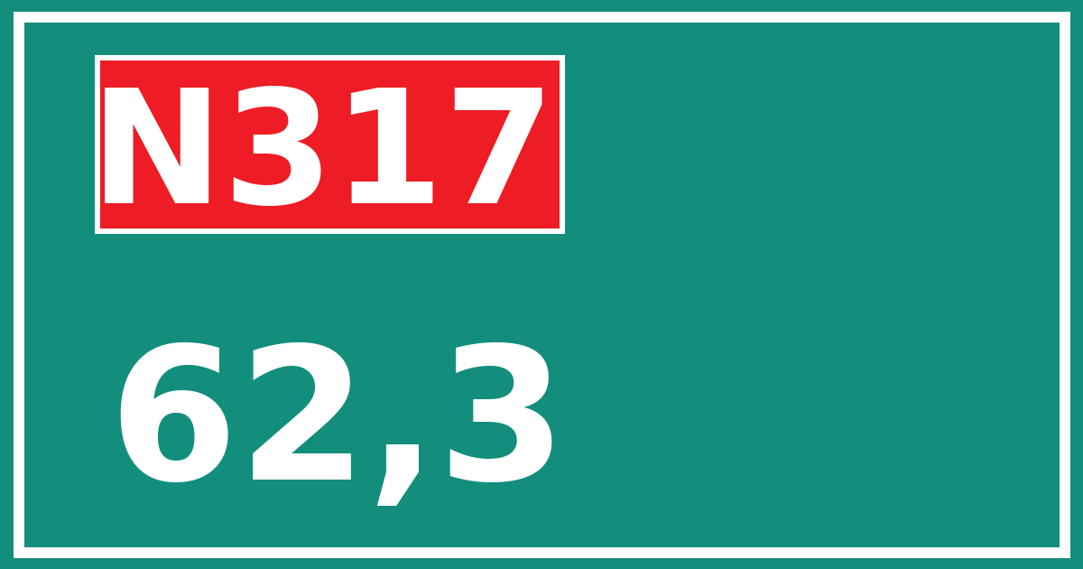 Hectometerbord N317 62,3