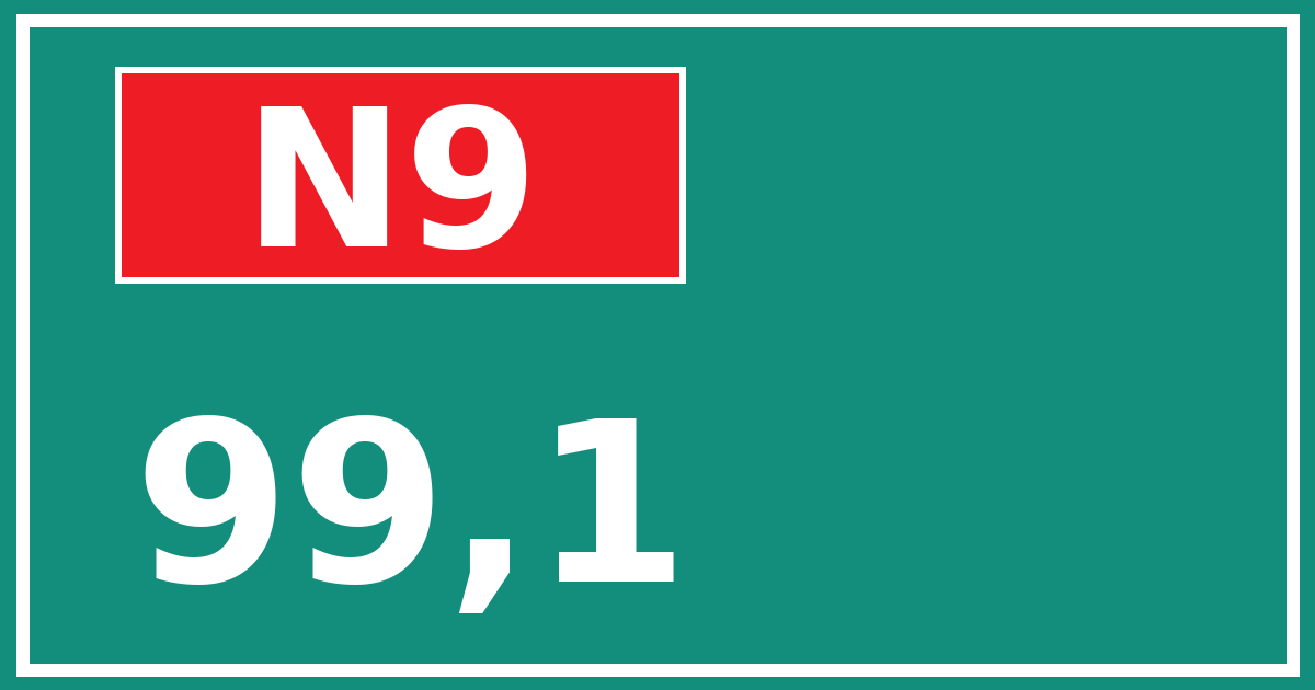 Hectometerbord N9 99,1