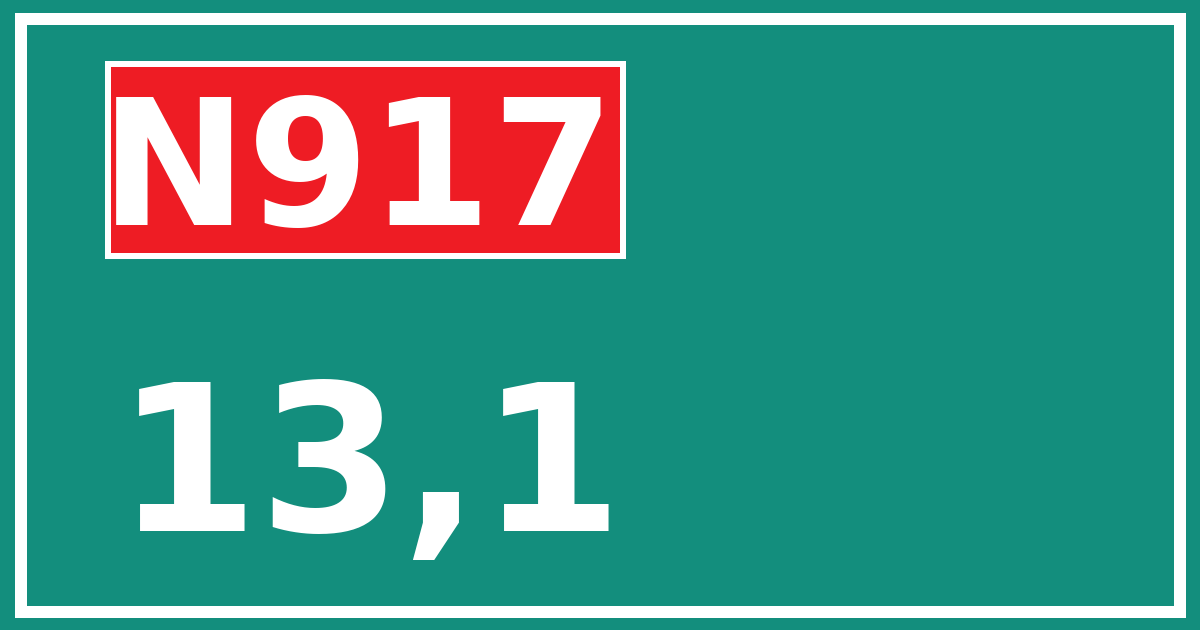 Hectometerbord N917 13,1