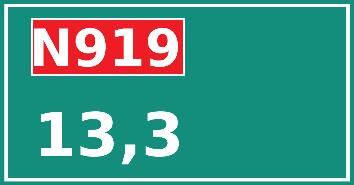 Hectometerbord N919 13,3